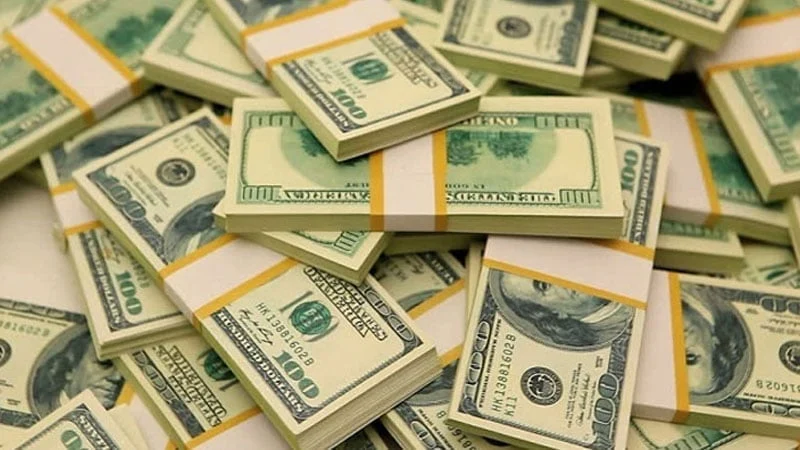 জানুয়ারিতে আসলো ২১৮ কোটি ডলারের রেমিট্যান্স